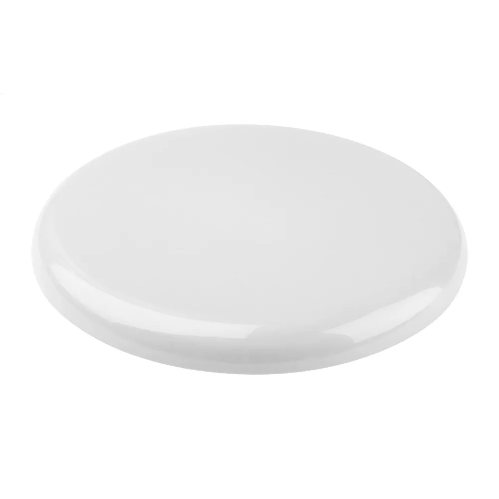 frisbee Smooth Fly