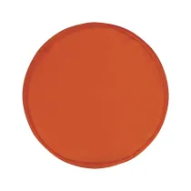 frisbee Pocket