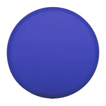 frisbee RPET Rocket