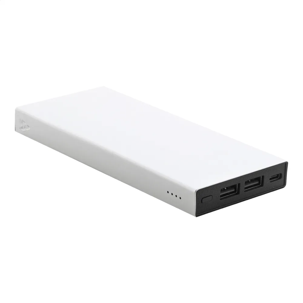 power bank RaluTen