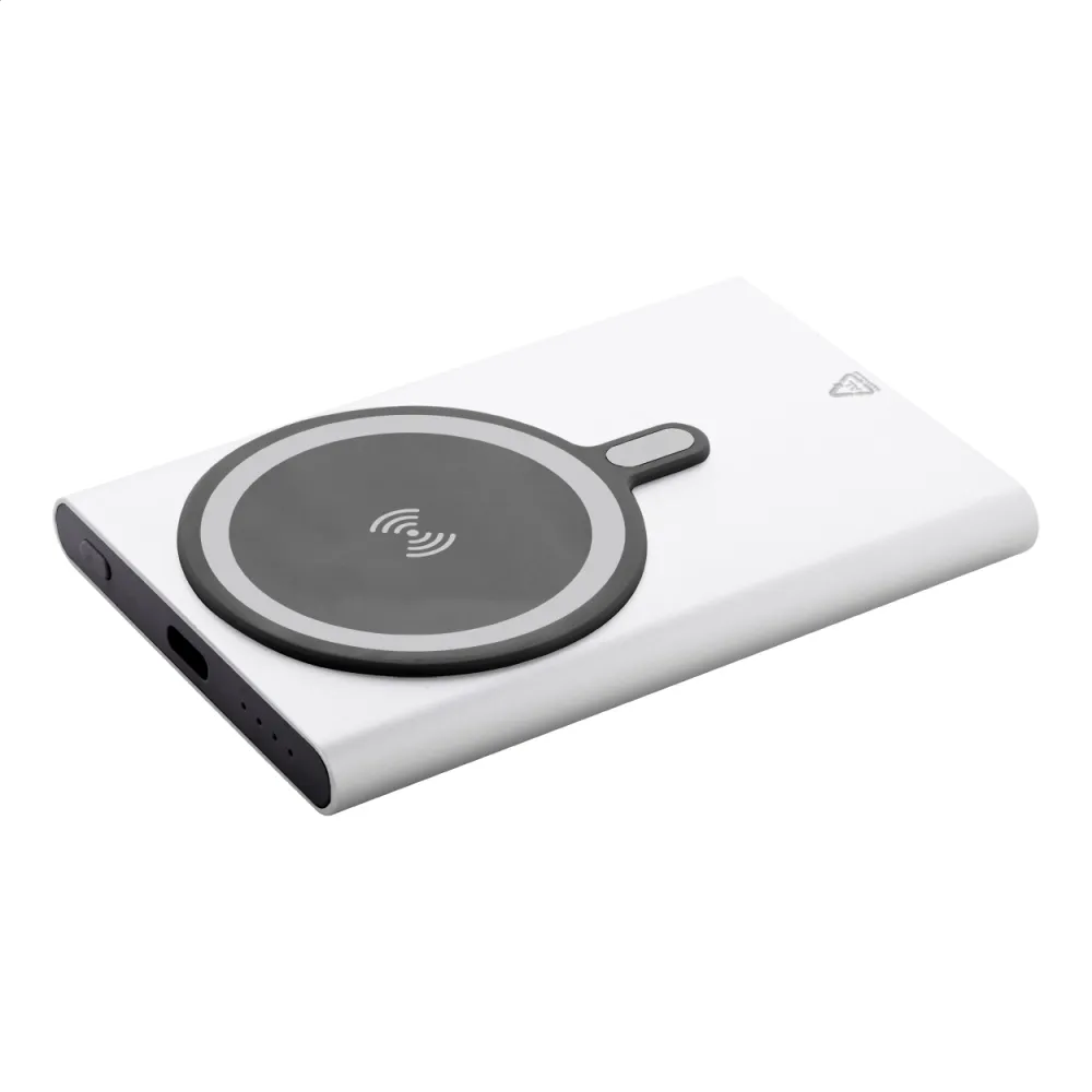 power bank RaluStick