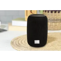 Głośnik bezprzewodowy RABS CaraBeat