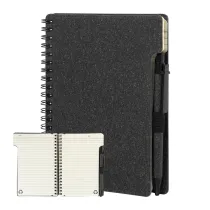 notes  Balsamea