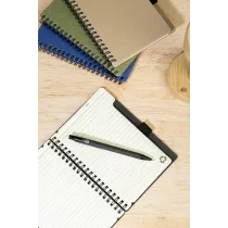 notes  Balsamea