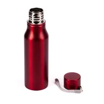 Bidon stalowy Fun Tripping 700 ml, czerwony