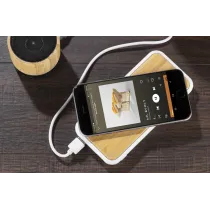 Powerbank RONI 10000 mAh