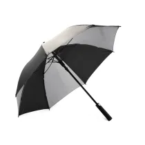 Parasol ISTA