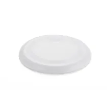 Frisbee ZING