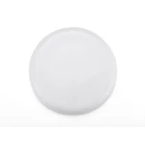 Frisbee ZING
