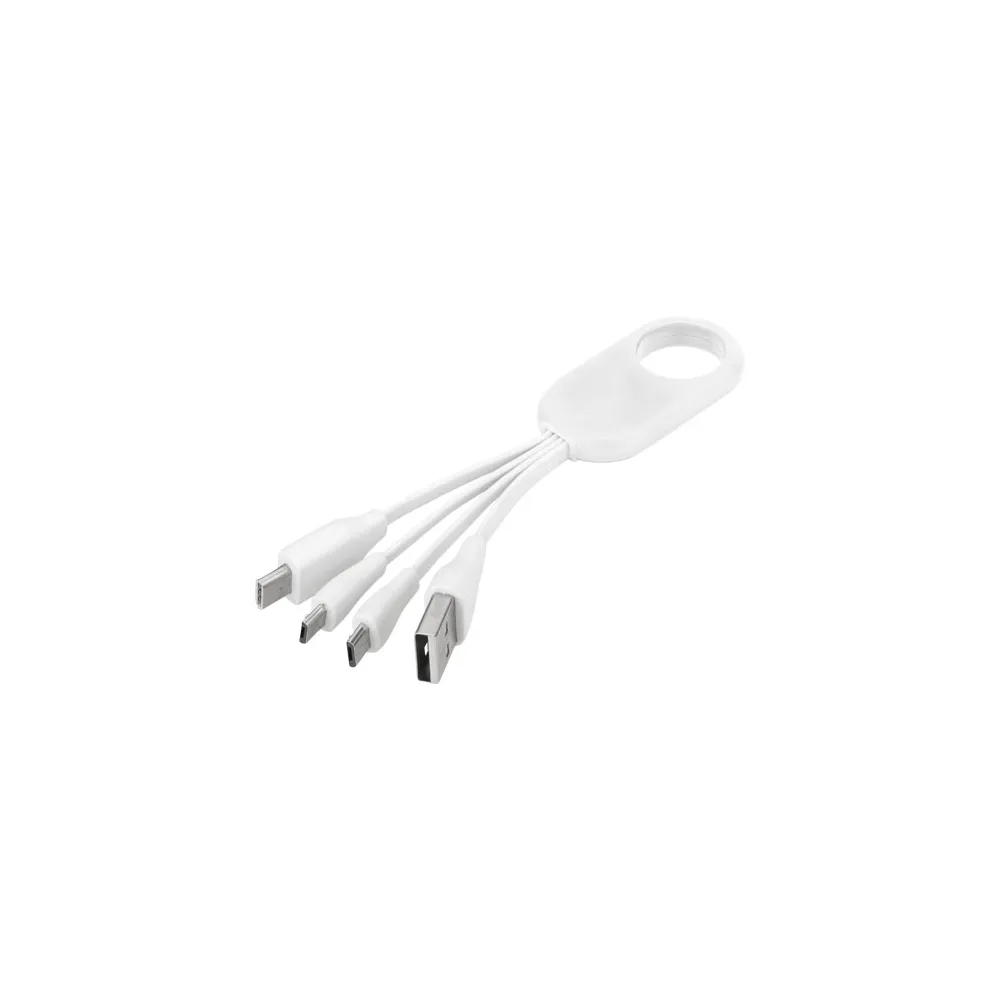 Kabel do ładowania z końcówką USB typu C 4w1 Troup