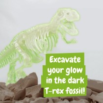 Fossil Excavation Kit I. Gra edukacyjna dla dzieci