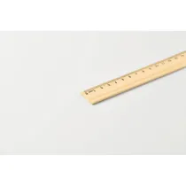 RULER20