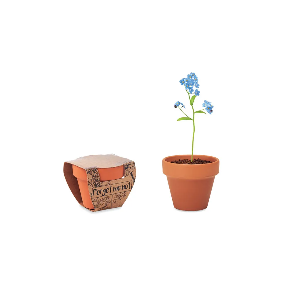 FORGET ME NOT