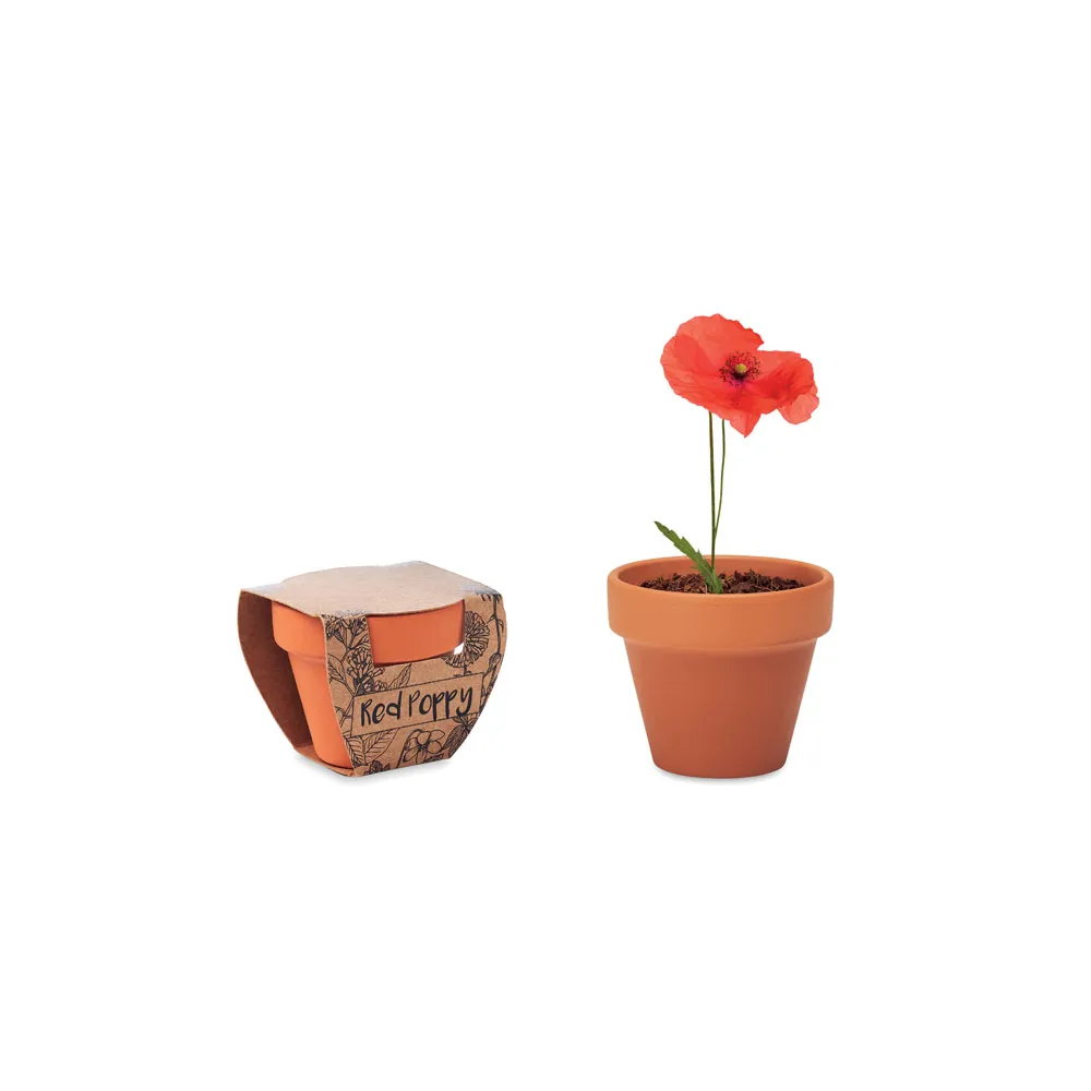 RED POPPY