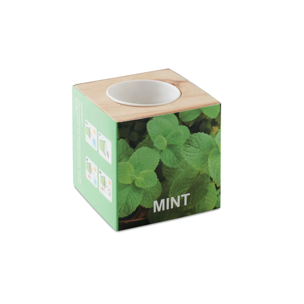 MENTA