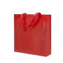 Bag Divia