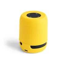 Speaker Braiss