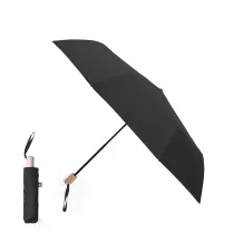 Umbrella Brosian