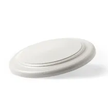 Frisbee Ditul
