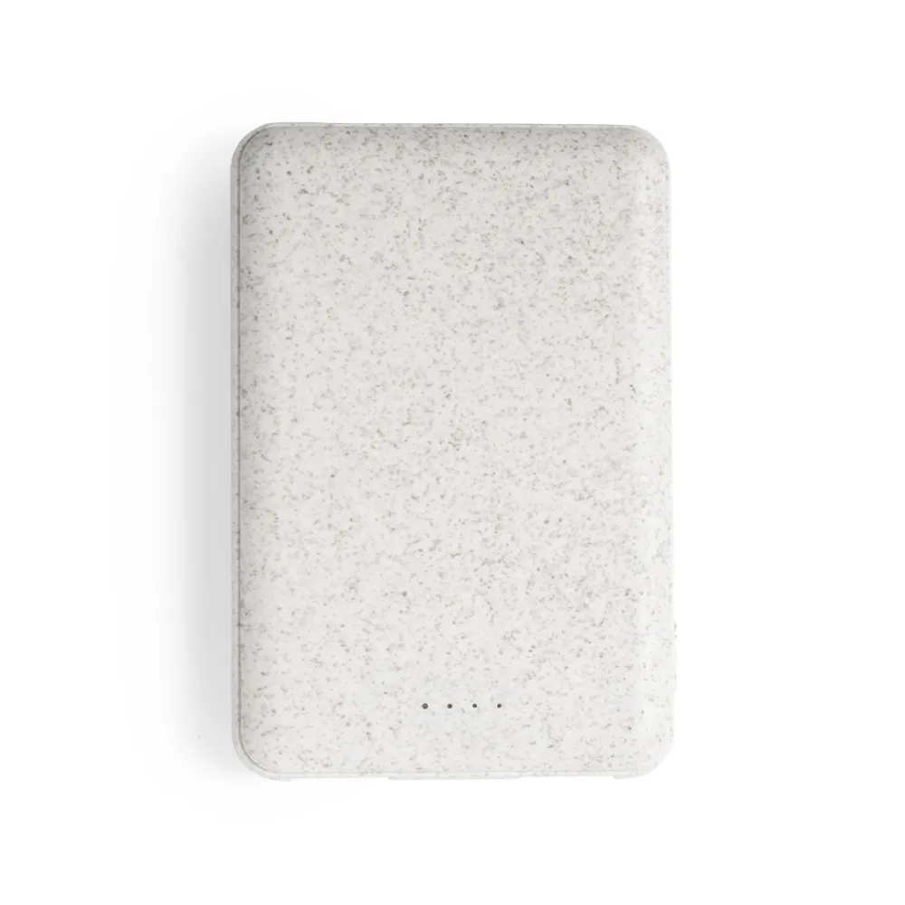 Power Bank Shiden