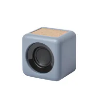 Speaker Seynol