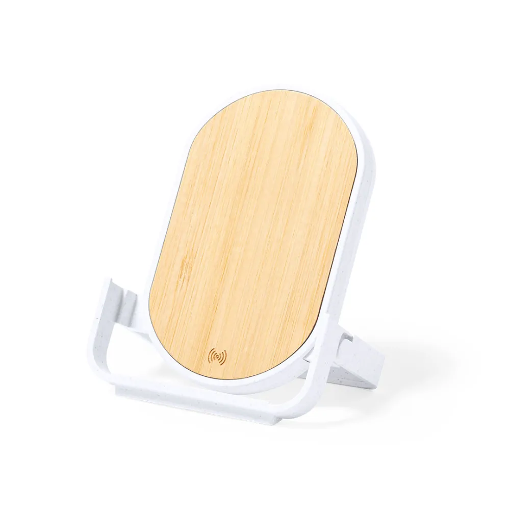 Charger Buisson