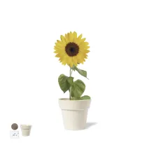 Flowerpot Tumil