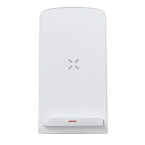 Charger Tayil RCS