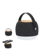 Charger Speaker Sprit