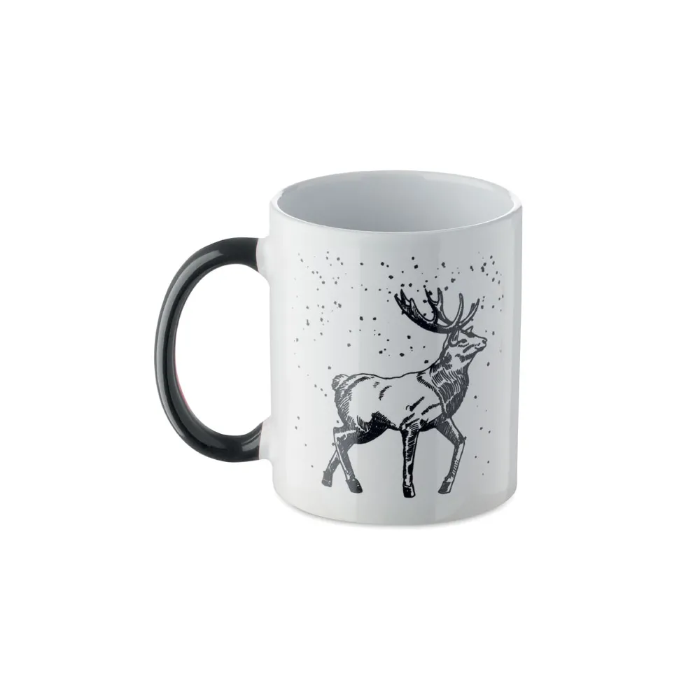 FESTIMUG