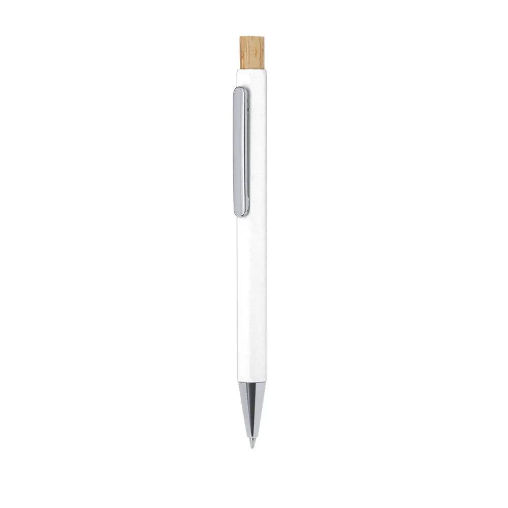 Pen Neglyr