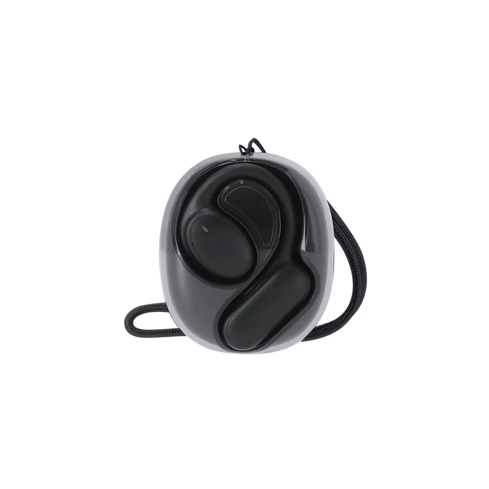 Translator Earbud Vixlan